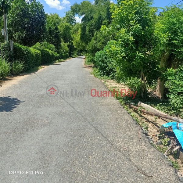 Property Search Vietnam | OneDay | Residential | Sales Listings, OWNER Urgently Needs To Sell Land Plot With Asphalt Road Front At Hamlet 6, Ward 8, Tra Vinh City