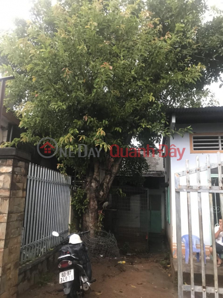Property Search Vietnam | OneDay | Residential, Sales Listings, BEAUTIFUL LAND - Urgent Sale Land Lot Beautiful Location In Dong Nai