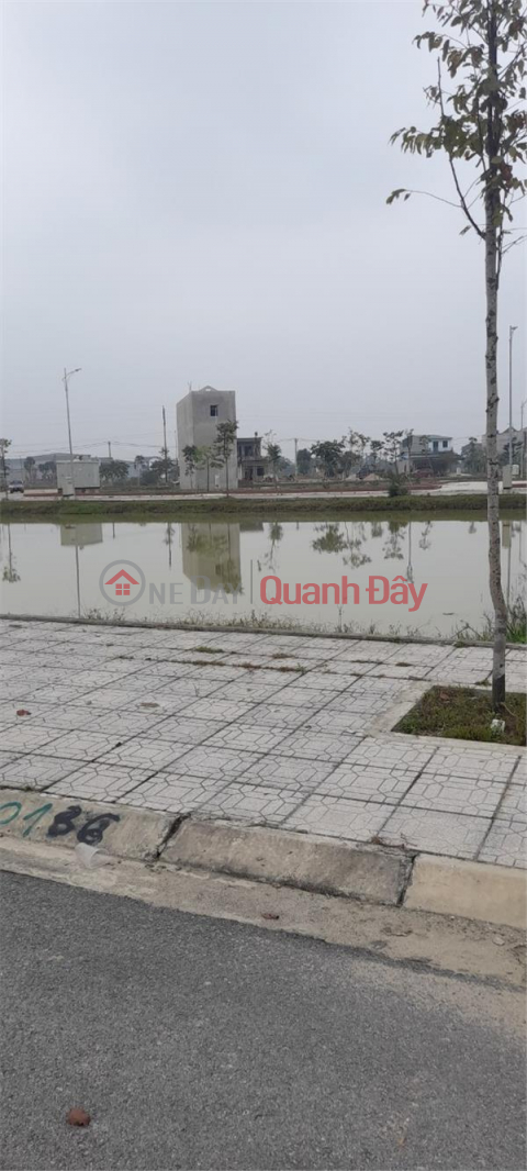 BEAUTIFUL LAND - Owner Quickly Sells 2 plots of land in Urban Area 7543 Southeast Thanh Hoa _0