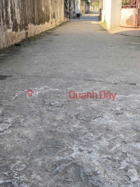 Bán đất thôn Yên Nhân, Tiền Phong, Mê Linh. Lô góc, 3 bước chân tới đường quốc lộ 23 Niêm yết bán