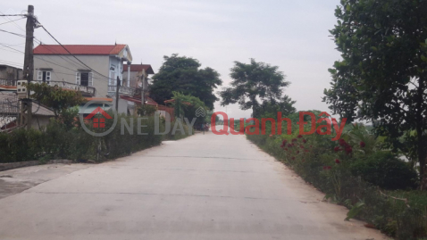 Land for sale in Phu Xuyen, big and beautiful road, worth investment. _0