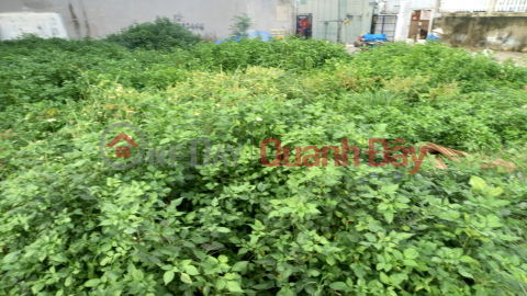 ﻿Sell land in front of Thanh Loc, Thanh Loc ward, District 12, 100m2, business area, price only 5.1 billion _0
