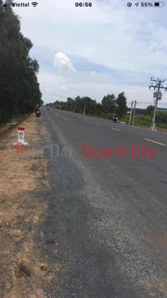 14,800m2 frontage of Provincial Road 867, Thanh My, Tan Phuoc, Tien Giang Sales Listings