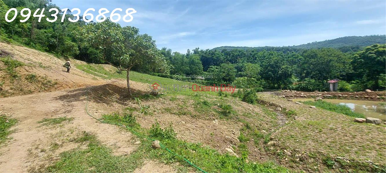 Property Search Vietnam | OneDay | Nhà ở Niêm yết bán | Siêu phẩm đất nghỉ dưỡng tại Hòa Sơn, Lương Sơn, Hòa Bình cơ hội đầu tư không thể bỏ lỡ