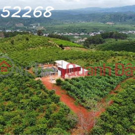 The owner needs to sell a rare land lot with nice view in Da Don, Lam Ha, Lam Dong communes, suitable for a resort _0