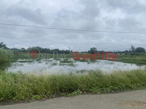 Land for sale in Duong Cong Khi, Xuan Thoi Son Commune, HOC MON, 7908m2, 8m asphalt road, price only 47 billion _0