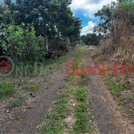 BEAUTIFUL LAND - GOOD PRICE - Land Lot For Sale Prime Location In Bao Lam District, Lam Dong _0