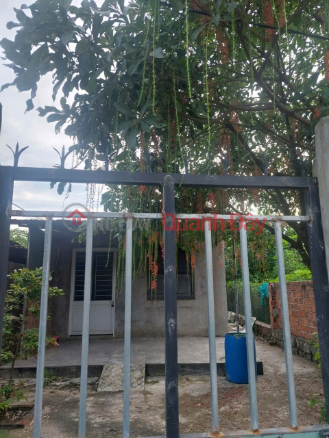 HOT HOT – CẦN BÁN NHÀ ĐẤT GIÁ TỐT TẠI KV 6, phường Bùi Thị Xuân, TP. Quy Nhơn, Bình Định. _0