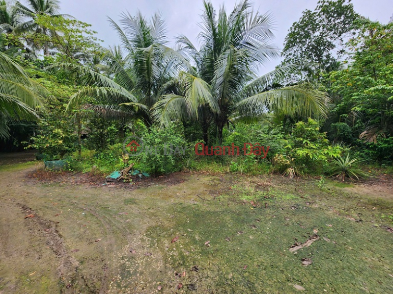  | Please Select Residential, Sales Listings đ 3 Billion