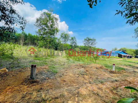 Hot item! Opening for sale 4 cheap land lots from only 185 million\/lot in Dien Xuan commune, Dien Khanh, Khanh Hoa. _0