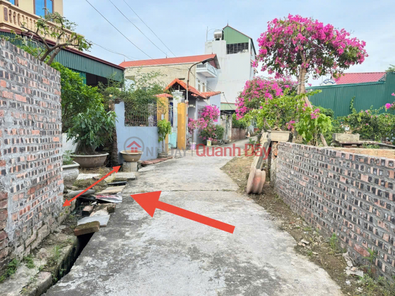 Property Search Vietnam | OneDay | Residential, Sales Listings, Land for sale in Do Ha, Tien Phong, Me Linh. 150m from National Highway 23b. Near Yen Market.