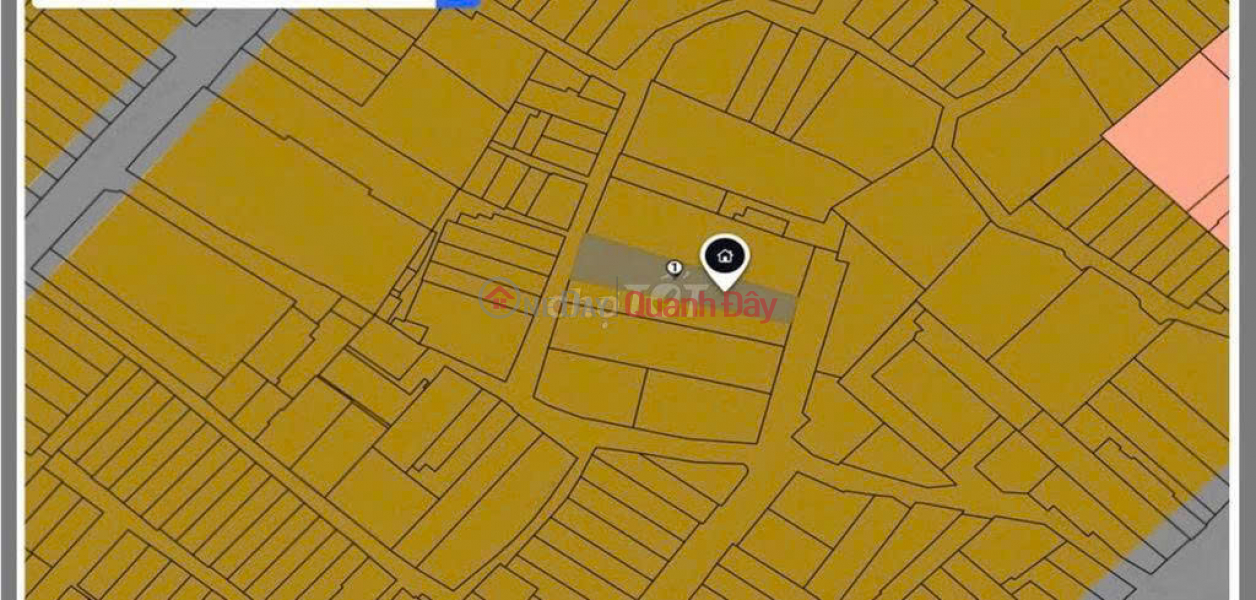 Property Search Vietnam | OneDay | Residential, Sales Listings | Owner Sells Social House Vo Thi Sau, Tan Dinh, District 1: 4.43x33.48m, Good Price 55 billion!