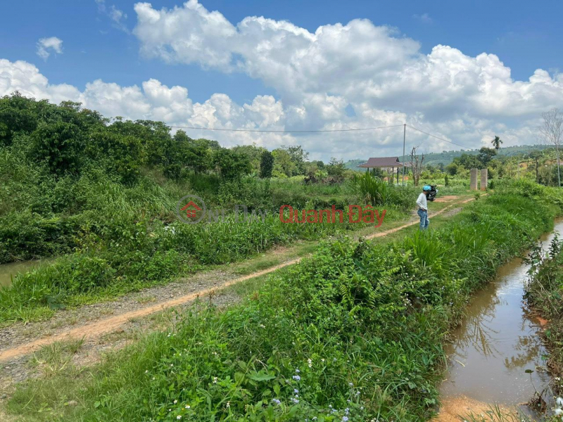 BEAUTIFUL LAND - GOOD PRICE - Land Lot For Sale Prime Location In Di Linh District, Lam Dong | Vietnam | Sales, ₫ 2.98 Billion