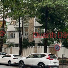 Owner for rent house 75m2-4T, Restaurant, Office, Sales, Mai Hac De-20M _0