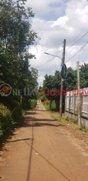 OWNER NEEDS TO SELL: DURAN ORCHARD LAND - ADJACENT TO 300HA HANG GON INDUSTRIAL PARK, Xuan Dinh Commune, Xuan Loc District Vietnam Sales, đ 1.17 Billion
