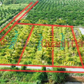 Rare find - Super beautiful garden land in Thu Thua, priced at 789 million VND \/ area 1000 sq m. _0
