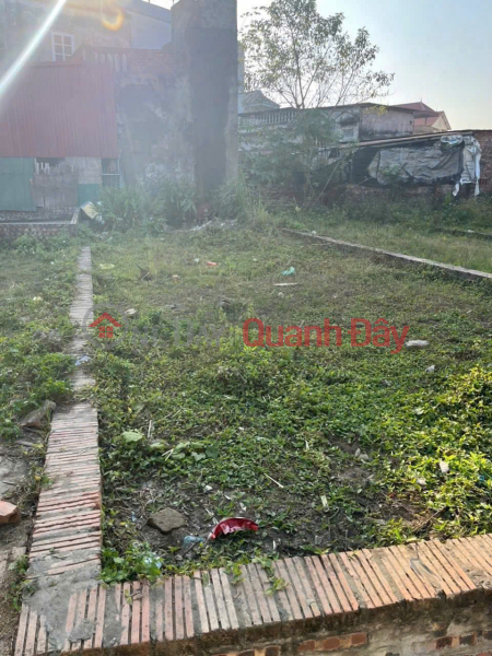 Selling a beautiful plot of land in Group 9, Quang Minh Town, Me Linh District, Hanoi. Near the industrial zone. Vietnam | Sales | đ 3.45 Billion