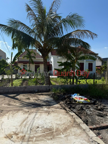 Tan Phong land - 67m² price only 7xx million, super rare in low financial range - ZALO 0567 222 555, Vietnam | Sales đ 750 Million
