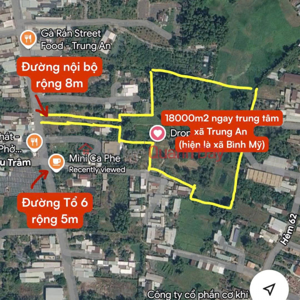 PRIME LAND – GOOD PRICE – OWNER WANTS TO RENT OR SELL A LARGE PLOT OF 18,000m2 (1.8ha) IN BINH MY COMMUNE, HO CHI MINH CITY Sales Listings