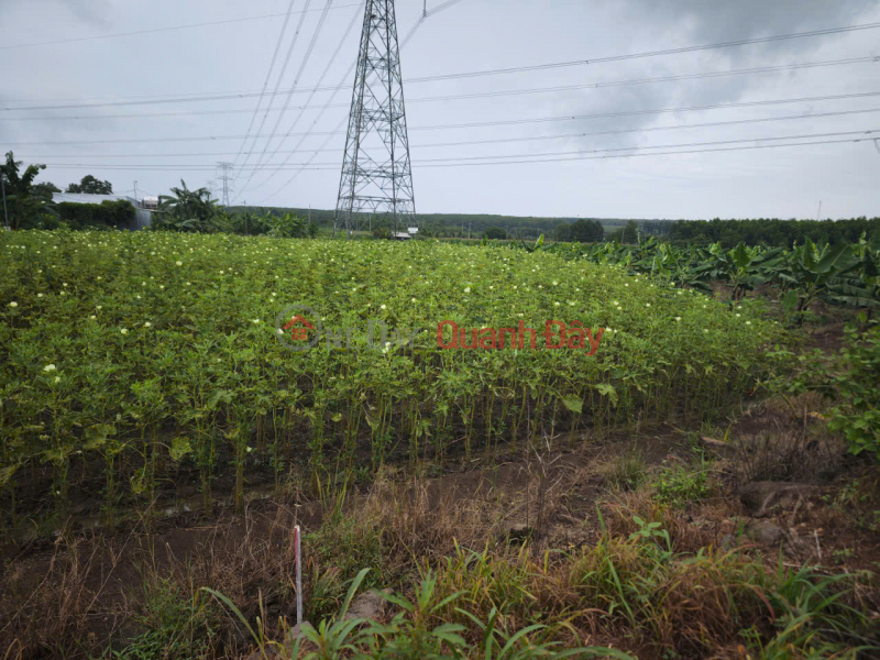PRIME LAND – GOOD PRICE – OWNER SELLING AT Parallel Road to National Highway 20, Gia Tan 2 Commune, Thong Nhat District, Dong Nai Province Sales Listings