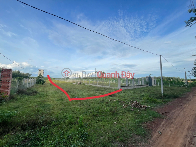 Property Search Vietnam | OneDay | Residential | Sales Listings THANH PHU LAND - THANH BINH - TAY NINH - Land by Owner, Good Price, 1008m2, Only 405 Million