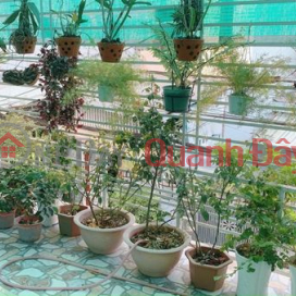 House for sale on Hai Duc street - Nha Trang _0
