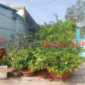 100m2 of road frontage land in residential area of My Phuoc town, Tan Phuoc, Tien Giang _0