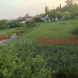 FOR QUICK SALE OF OWNER'S Land Plot Prime Location - CHEAP PRICE - In Go Cong Tay District, Tien Giang _0