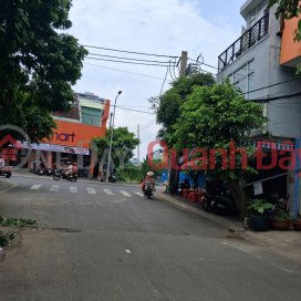 URGENT SALE: HOUSE ON STREET FRONTAGE, STREET NO. 3, TAN QUY WARD, DISTRICT 7 _0
