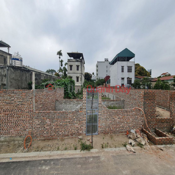123m2 land for auction in Thuan An – Dang Xa, Gia Lam, Hanoi 0989894845 Sales Listings