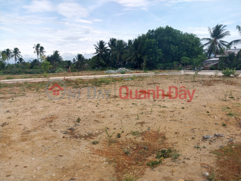 Quick sale of land plot in Phan Rang city near Tan Hoi church at the end of Thong Nhat street, only 11 million\/m2 _0