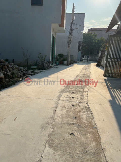 Đất Nền Đẹp Sổ Đỏ - Gần Kcn Quang Minh & Cđ Y Dược Tuệ Tĩnh - Mê Linh, Hà Nội _0