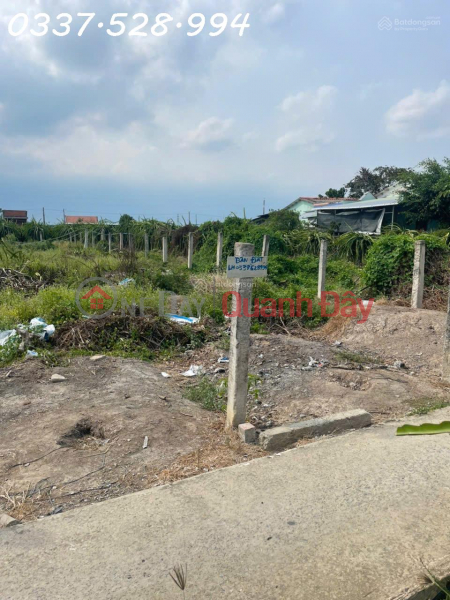 Property Search Vietnam | OneDay | Residential, Sales Listings | Land for sale in Cau Ong Bui Hamlet, excellent price of 390 million VND, area 200m2, beautiful view.