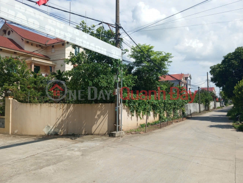 Bán đất Thuận Thành, Bắc Ninh. 85m2 * mt 5,9m * 2,48 tỷ. Lô góc, ô tô tránh _0