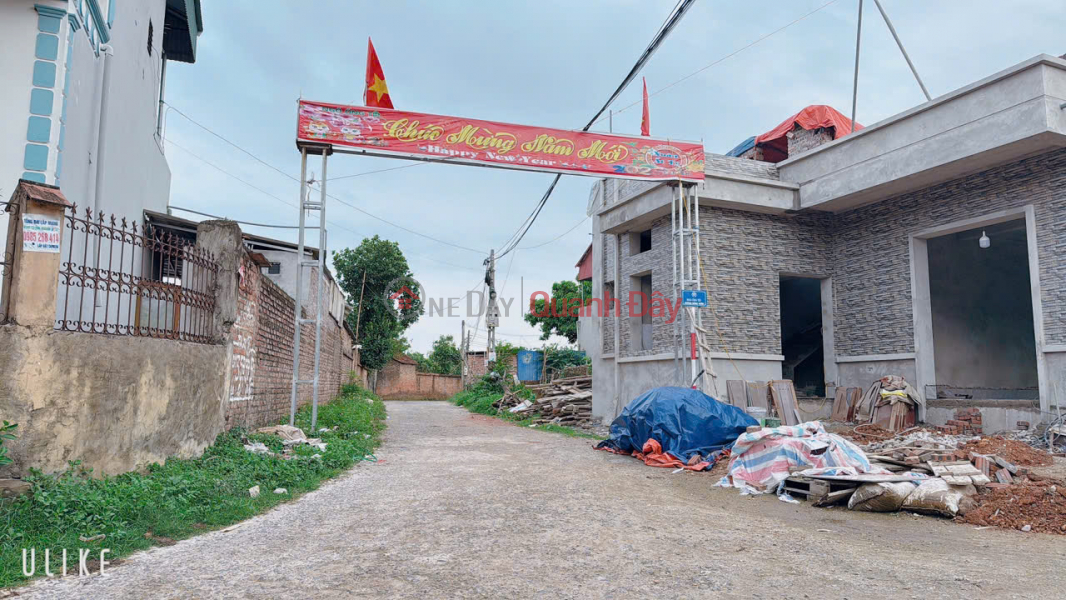 OPENING FOR SALE A TOTAL OF 7 LOTS AT THANG TRI MINH PHU SS HANOI, AREA 110 M, RESIDENTIAL LAND, BEAUTIFUL SPARE Plot -- PRICE COMMITMENT, Vietnam, Sales, đ 1.9 Billion