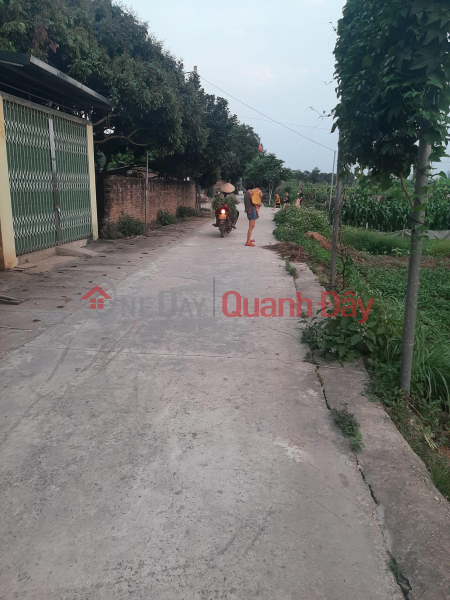 Selling land for a level 4 house in Yen Nghia, Ha Dong Sales Listings