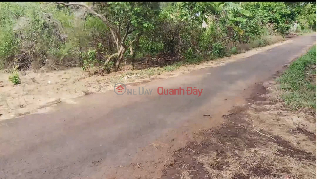 HOT HOT – LAND FOR SALE NEAR EAKAO TOURIST LAKE – 12M WIDE PLANNED ROAD FRONTAGE, EaKao Ward, Buon Ma Thuot City, Dak Lak Province Sales Listings
