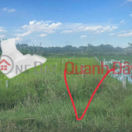 Owner Sells 177.1m2 of Concrete Front Land at Phap Tuyen Pagoda, Duc Hoa Thuong, Duc Hoa District, Long An _0