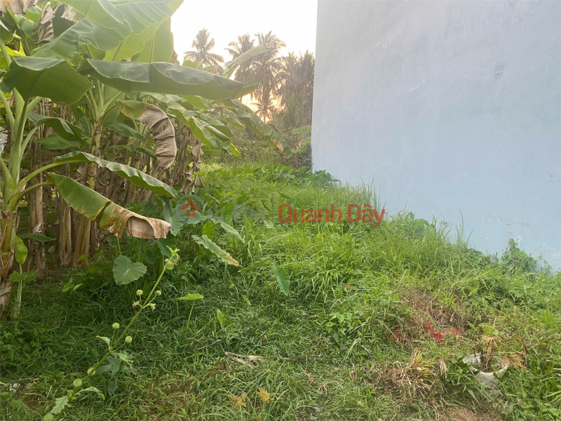 Property Search Vietnam | OneDay | Residential Sales Listings, Land owned by the owner - Good price - My Thanh An Commune, Ben Tre City, Ben Tre Province
