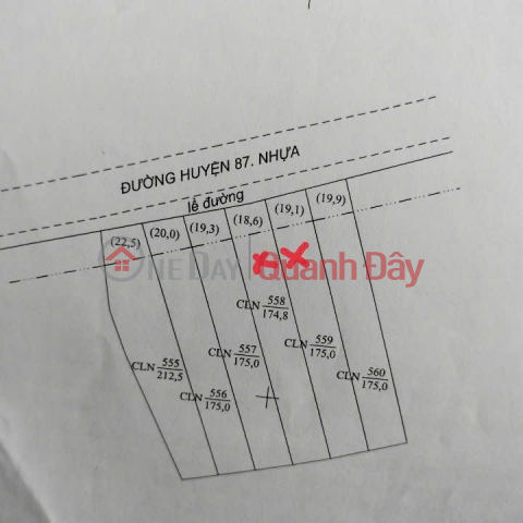 Owner Sells 2 Lots of Land on District Road 87, Lo Bun Street, Binh Phong, Tan My Chanh, My Tho _0