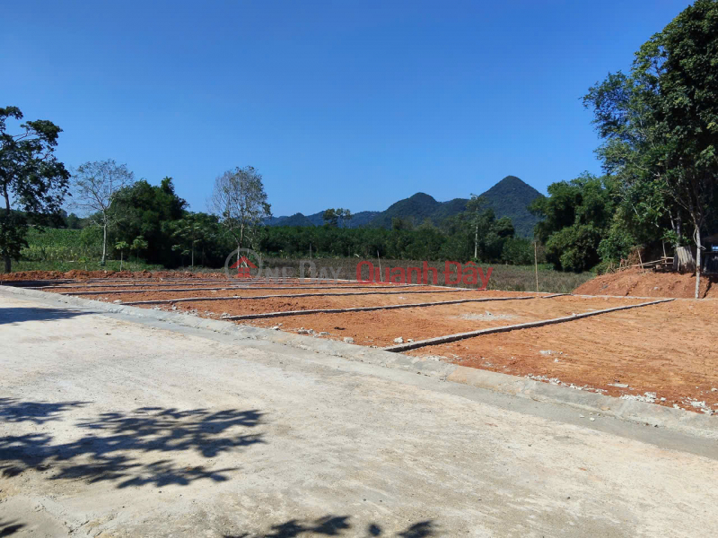 Owner selling 2 plots of land in Thanh Vinh, Thanh Hoa - Fully residential land, ready title deeds, only 160 million VND per plot. | Vietnam, Sales đ 160 Million