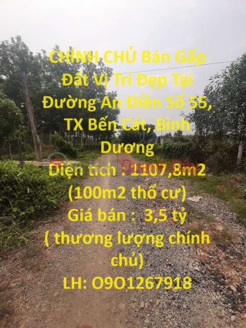 CHÍNH CHỦ Bán Gấp Đất Vị Trí Đẹp Tại Đường An Điền Số 55, TX Bến Cát, Bình Dương _0