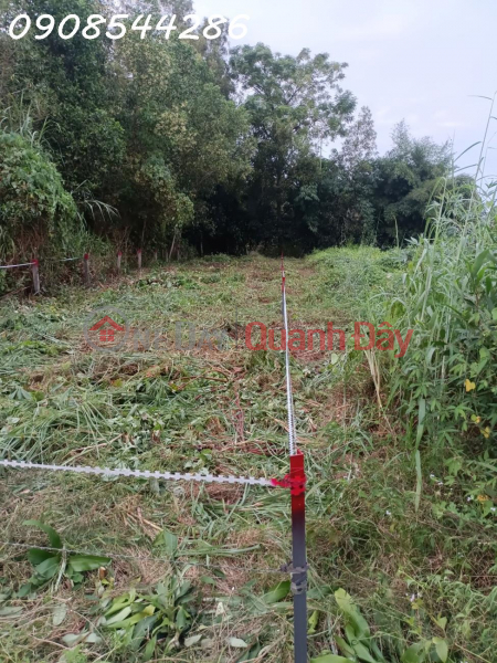 The owner needs to sell full residential land in Phu Dien commune, Tan Phu, Dong Nai Vietnam Sales ₫ 750 Million