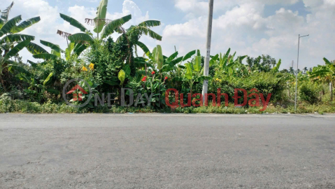 PRIMARY LAND - Beautiful Location at My Hung 2 Hamlet, My Hoa Commune, Binh Minh Industrial Park, Vinh Long _0