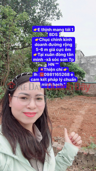 PRIME LOCATION FOR BUSINESS IN XUAN DONG TAN MINH - SOC SON COMMUNE, HANOI CITY - AREA 103.8 SQM - BEAUTIFUL PLOT OF LAND Sales Listings