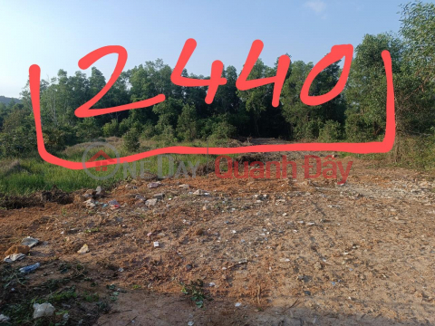 Agribank, MB are too tight, need to urgently sell 2440m2 of land in Group 6, Cay Thong Ngoai hamlet _0