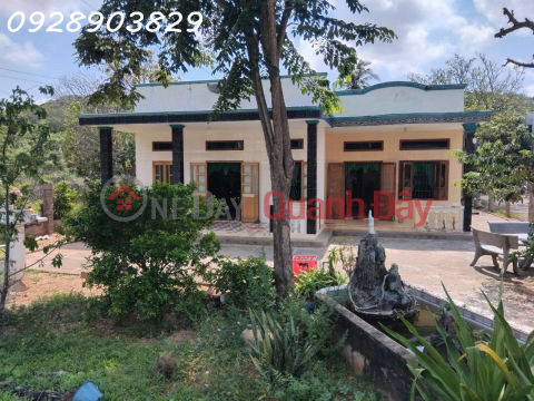 Urgent sale of 1067m2 land in Lac Long Quan, Tien Thanh Ward, Phan Thiet City, price 16 billion VND, commission 2%. _0