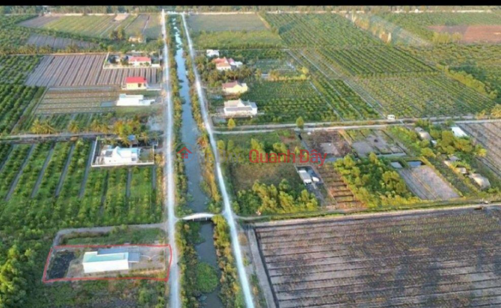 đ 2.8 Billion | HOT! PRICE REDUCTION FROM 3.5 BILLION TO 2.8 BILLION TO OWN A LOT OF LAND IN A BEAUTIFUL LOCATION in Thu Thua district, Long An province