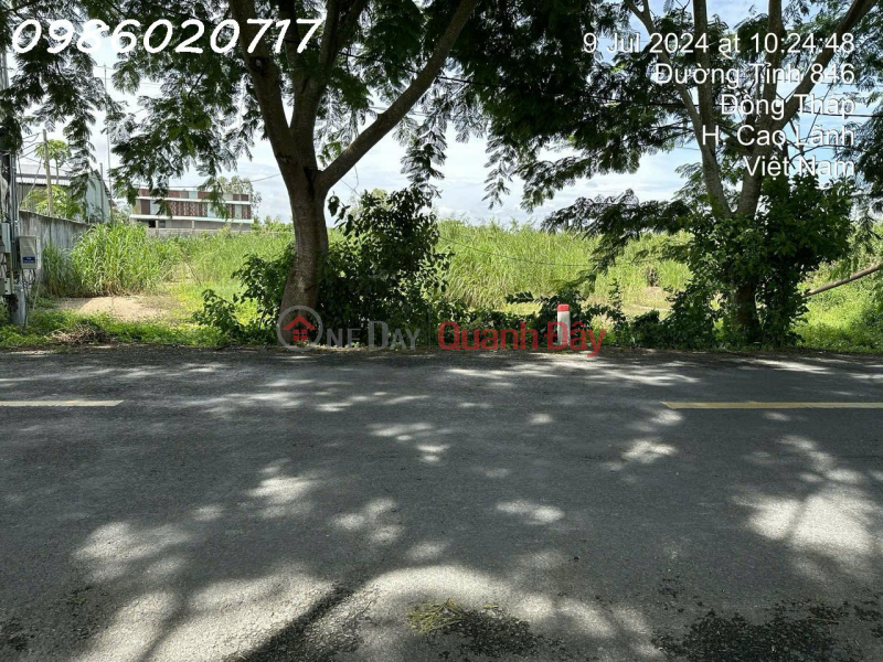 Property Search Vietnam | OneDay | Nhà ở | Niêm yết bán, Chính chủ cần bán đất mặt tiền đường ĐT 846, Xã Tân Nghĩa, Cao Lãnh, Đồng Tháp
