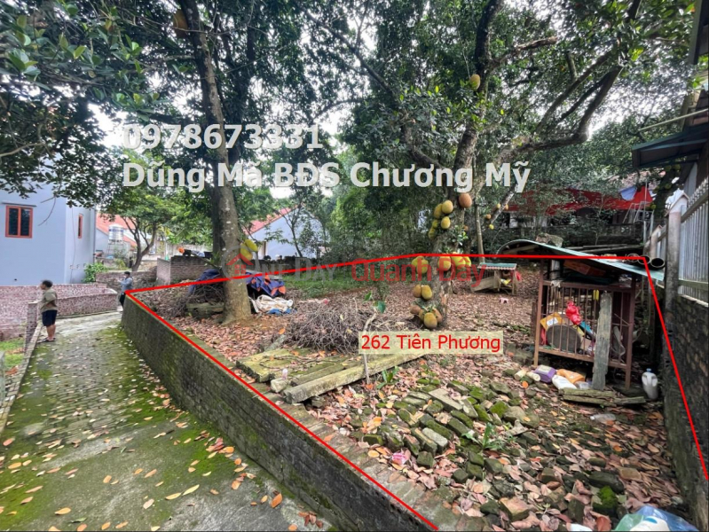 PRICE ONLY 2TY550 MILLION TO OWN A SUBDIVISIONAL LOT OF LAND AT TIEN PHUONG-CHUONG MY Sales Listings